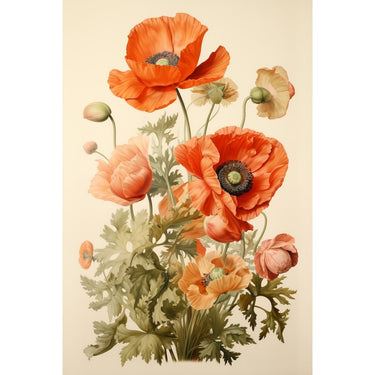 dessin coquelicots peinture